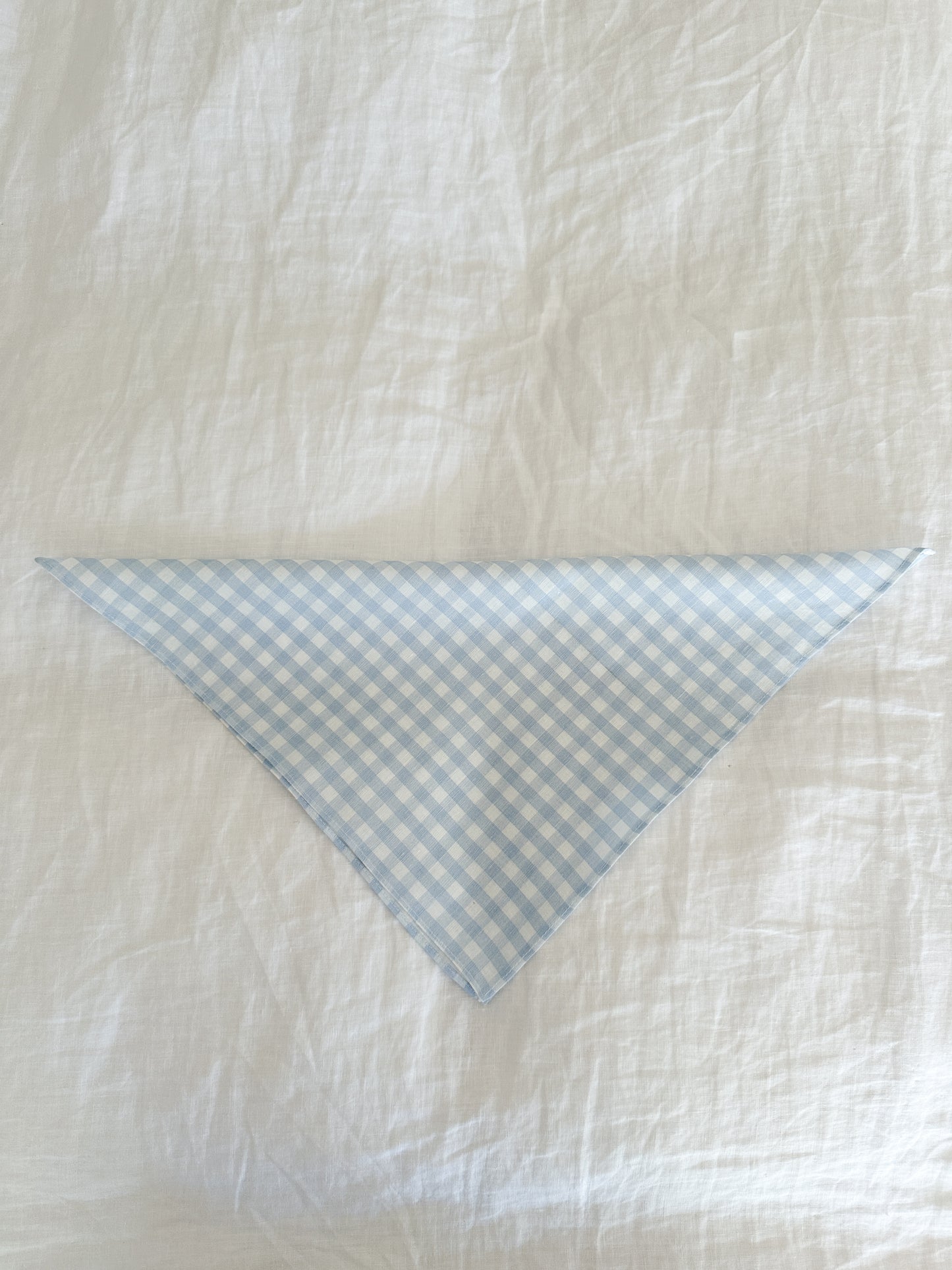 Bobbi scarf in blue gingham