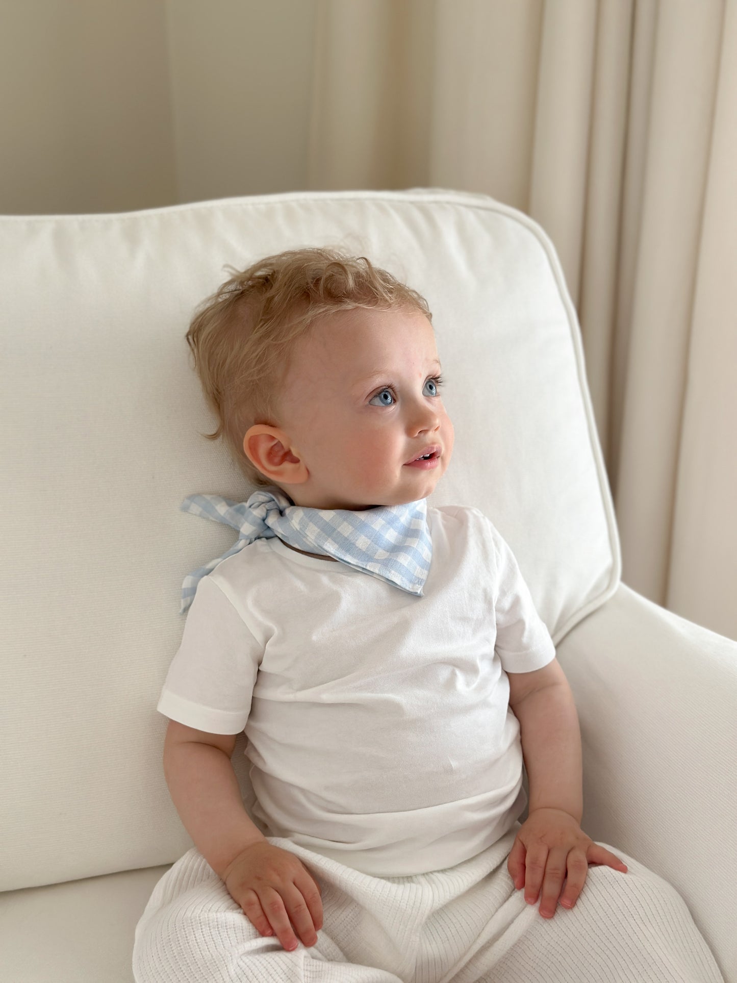 Bobbi scarf in blue gingham