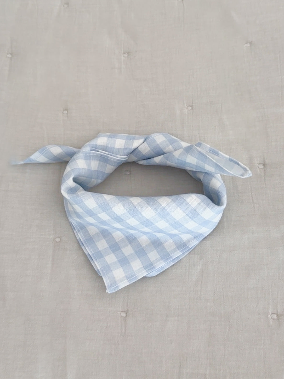 Bobbi scarf in blue gingham