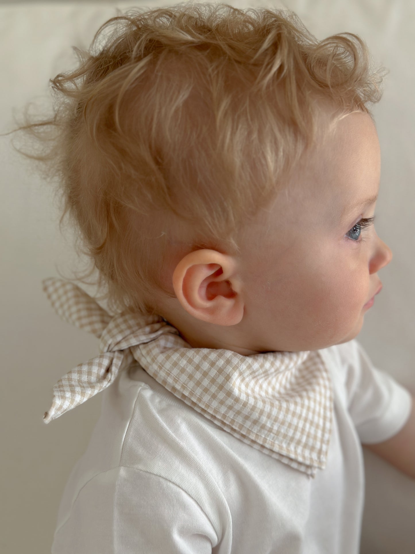 Bobbi scarf in beige gingham